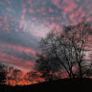 Meet your Posher, Cate